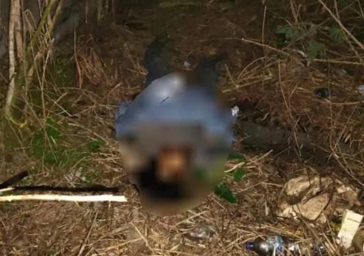 Ilustrasi berita Mimika: Sebelum Ditemukan Meninggal Dunia di Jalan Irigasi Timika, GGM Sempat Mengeluhkan Sakit dan Melompat dari Sepeda Motor
