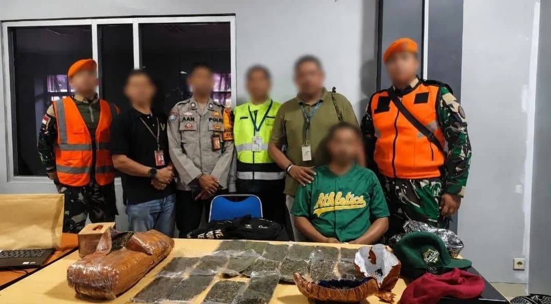 Ilustrasi berita JAYAPURA: Avsec Bandara Sentani Gagalkan Penyelundupan 2,6 Kg Ganja ke Sorong, Terdeteksi Mesin X-Ray