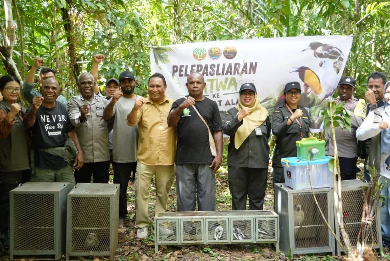 Ilustrasi berita JAYAPURA: Badan Karantina Selamatkan Puluhan Flora dan Fauna Endemik Papua, Dikembalikan ke Habitat Aslinya
