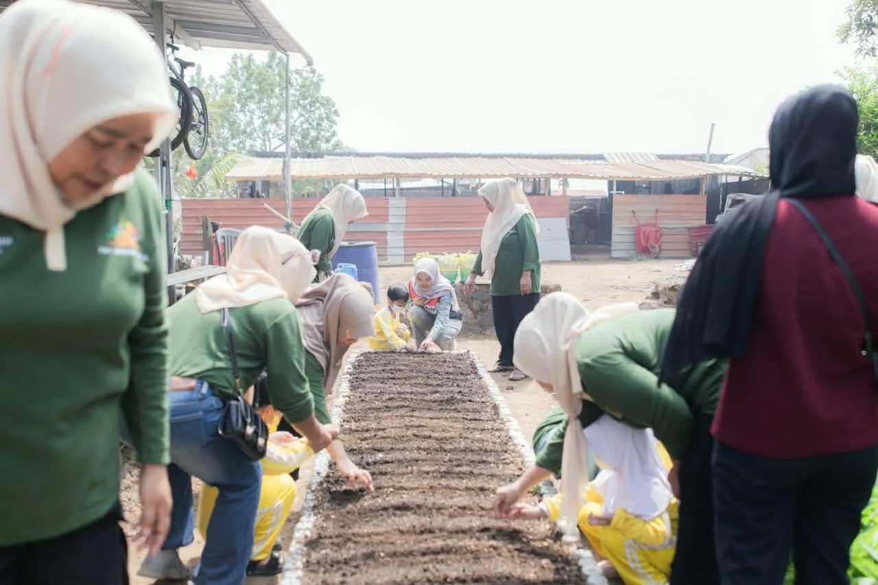 Ilustrasi berita Pendidikan: Pertamina AFT Babullah Ajak Siswa TK Khalifah Belajar Pertanian di Agrowisata Tubo