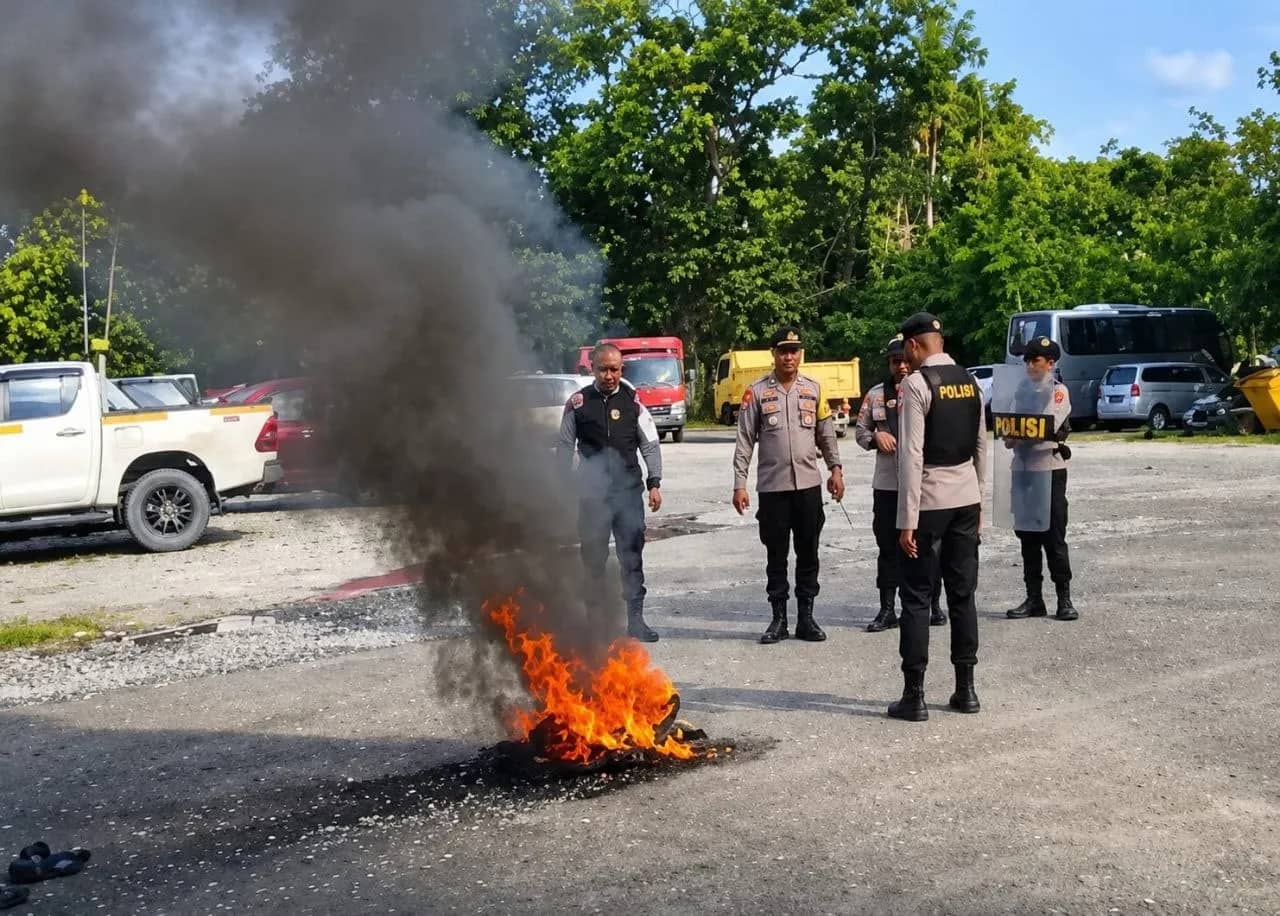 Ilustrasi berita Mimika: PO Daging Ayam Beku Dialihkan ke Pengusaha Jakarta, Peternak Lokal Bakar Ban di Kuala Kencana