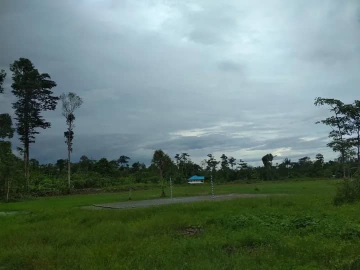 Ilustrasi berita Mimika: Wow... Ada Kampung Unik di Mimika, Semua Warganya Papua, Bakal Jadi Kampung Wisata Pertanian