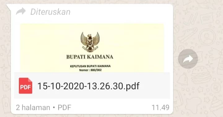 Ilustrasi berita Mimika: Waktu Aduan ke Bapek Tersisa 2 Hari Lagi, Surat Pemecatan Pejabat Mimika Beredar di Media Sosial