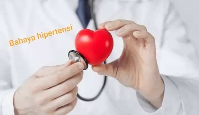 Ilustrasi berita LIFESTYLE: Ini yang Terjadi pada Jantung Bagi Penderita Hipertensi, Waspada !