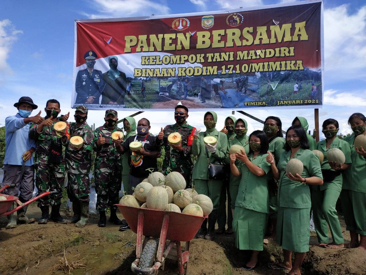 Ilustrasi berita Mimika: Dandim Pimpin Panen Buah Melon Poktan Mandiri di SP 4 Mimika, Minta Berdayakan Petani Lokal