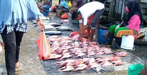 Ilustrasi berita Papua: Wuihh !!!, Ternyata Laporan BPS Ikan Ekor Kuning Ikut Jadi Pemicu Inflasi di Timika