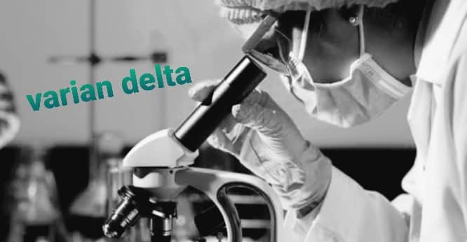 Ilustrasi berita pinpost: Cek Varian Delta, 4 Petugas Laboratorium Mulai Lakukan Pemeriksaan 48 Sampel Pasien Covid 19