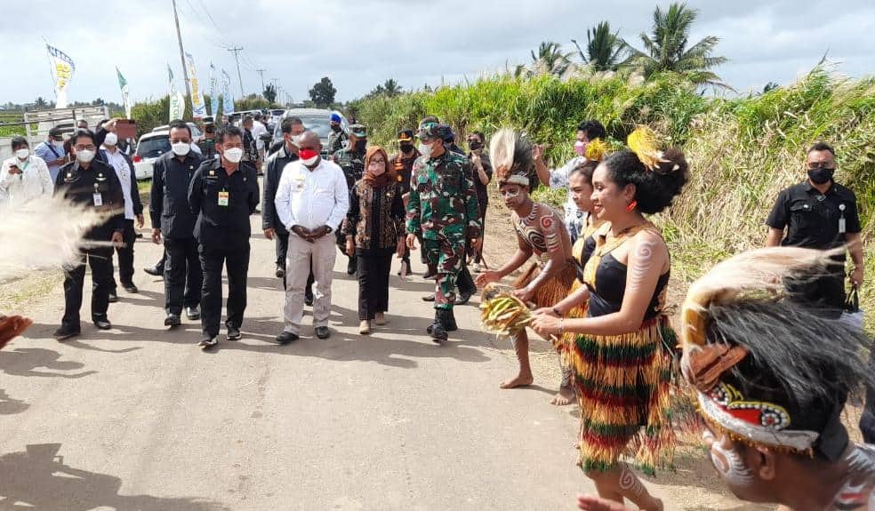 Ilustrasi berita Papua: Kunjungi Merauke, Menteri Pertanian Bertekad Tingkatkan Kualitas Beras Kelas Ekspor