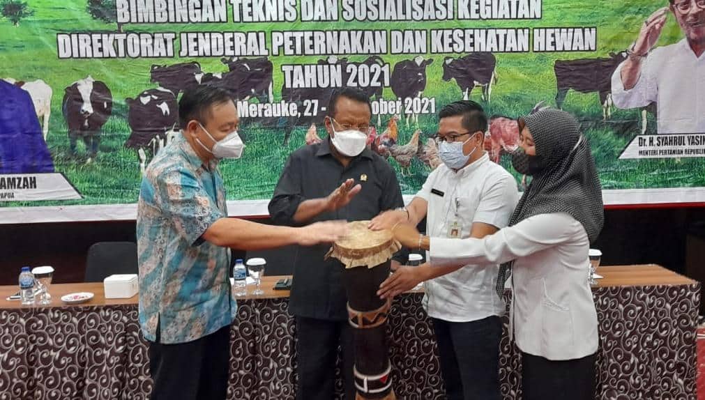 Ilustrasi berita Papua: Para Kelompok Tani di Merauke Dibekali Manajemen Peternakan dan Kesehatan Hewan