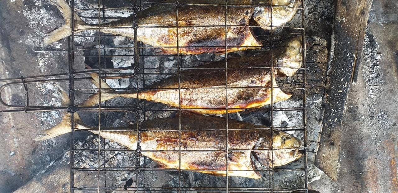 Ilustrasi berita LIFESTYLE: Praktisi Nutrisi: Rutin Konsumsi Ikan Kurangi Risiko Berbagai Penyakit Ini