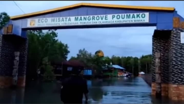 Ilustrasi berita Mimika: Banjir Rob Rendam Depo Kontainer, Pelabuhan Perikanan dan Wisata Hutan Mangrove Pomako, Mobil Jenazah Terjebak