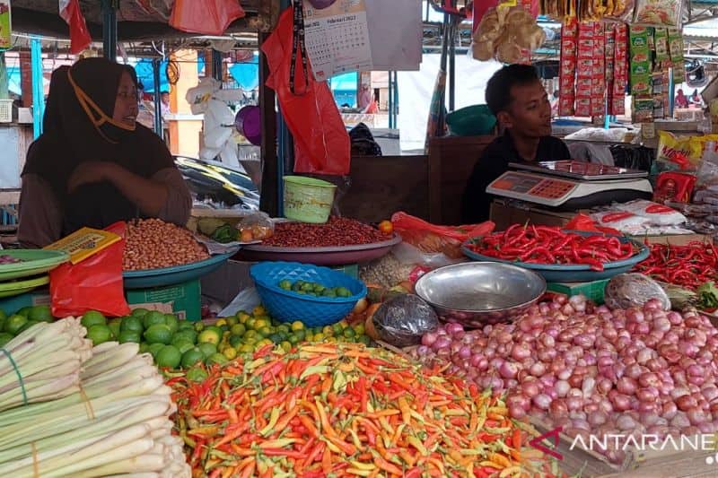Ilustrasi berita Mimika: Harga Daging Ayam dan Tomat di Timika Naik Drastis