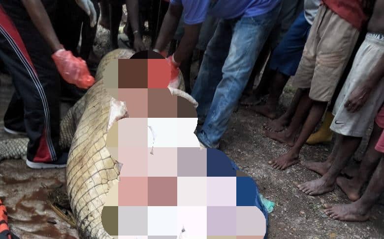 Ilustrasi berita Mimika: Potongan Tubuh Demianus Tergantung di Mulut Buaya, Saat Perut Dibelah, Warga Menemukan Sejumlah Barang Ini…