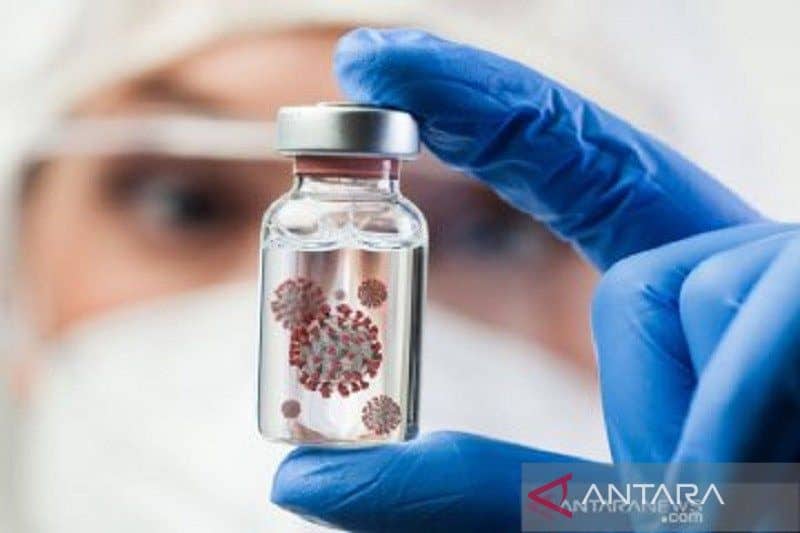 Ilustrasi berita Nasional: Ingat, Setelah Omicron Muncul Lagi Varian Deltacron, Virus Covid-19 Gabungan....