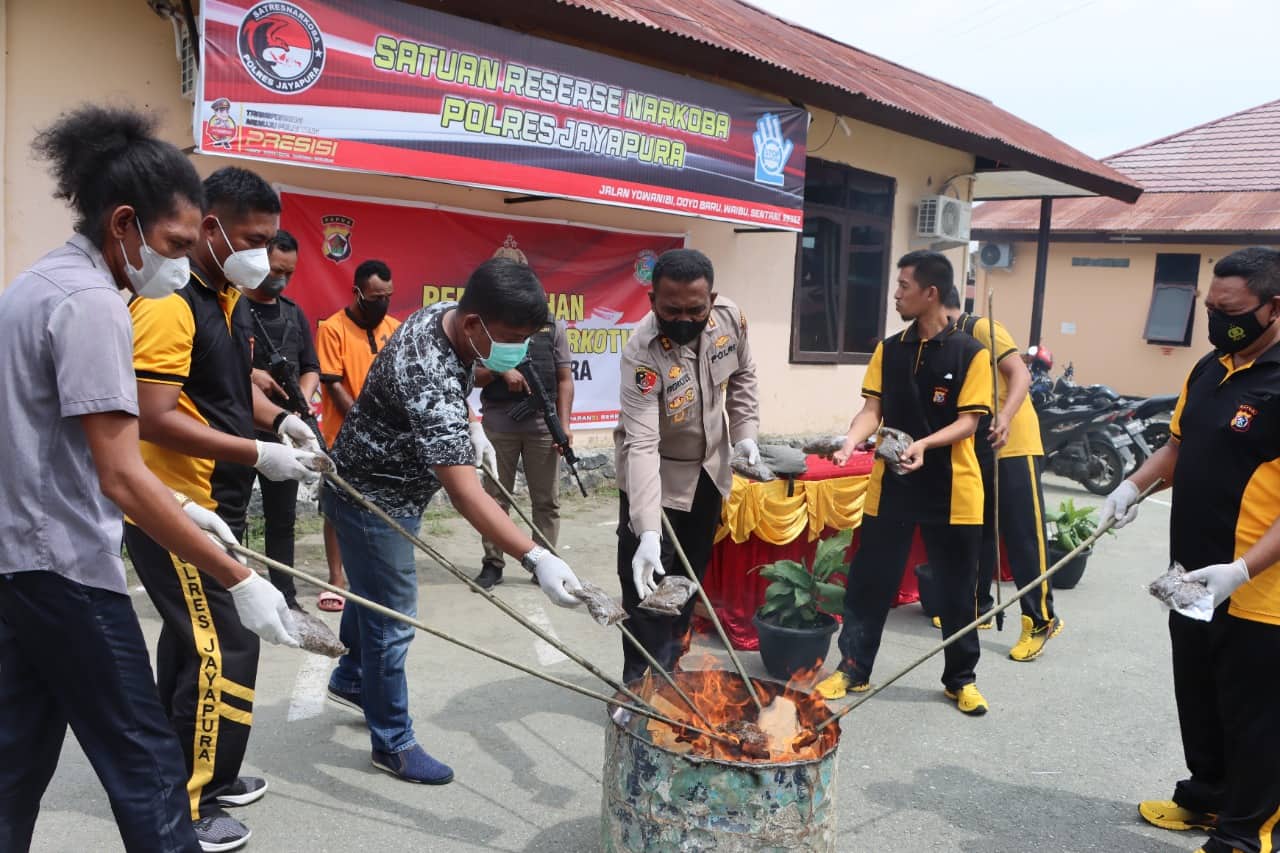 Ilustrasi berita Mimika: Polres Jayapura Musnahkan Ganja Seberat 1 Kilogram