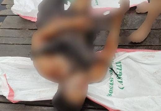 Ilustrasi berita Papua: Polisi Temukan Satu Korban Kapal Terbakar di Mappi Dalam Keadaan Meninggal, Ini Identitasnya