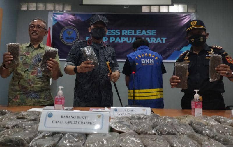 Ilustrasi berita Papua: BNN Papua Barat Tangkap Mahasiswi Pembawa 4,1 Kg Ganja