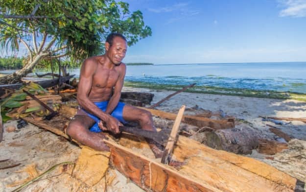 Ilustrasi berita Papua: 7.500 Hektare Hutan Sagu Jadi Cadangan Pangan di Sorong Selatan, Blue Forest Latih Warga Nayaro Produksi Tepung
