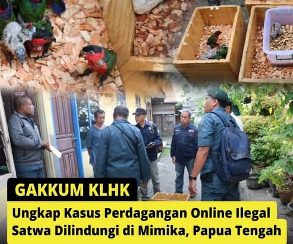 Ilustrasi berita Mimika: KLHK dan Polda Papua, Bongkar Praktek Perdagangan Online Satwa Dilindungi di Mimika