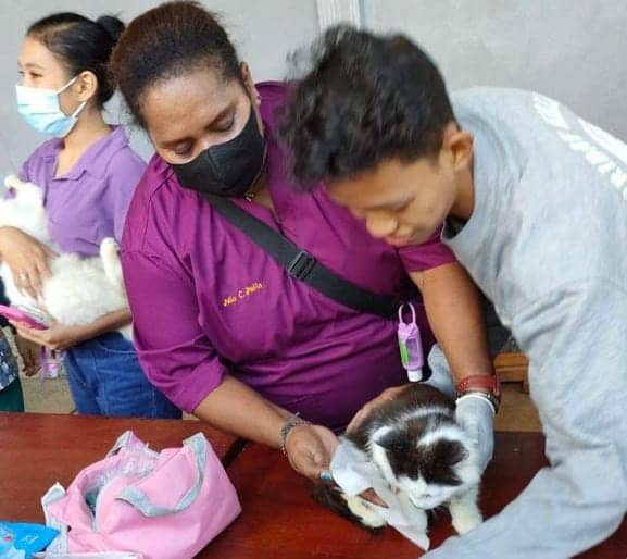 Ilustrasi berita JAYAPURA: Waspadai Rabies Masuk Papua, Pemkab Jayapura Gelar Vaksinasi Gratis pada Ribuan Hewan Peliharaan