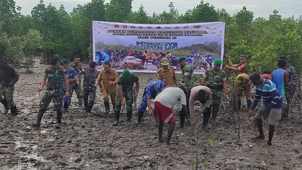 Ilustrasi berita Mimika: Serentak Nasional, TNI di Mimika Tanam 800 Mangrove di Sekitar Pelabuhan Pomako