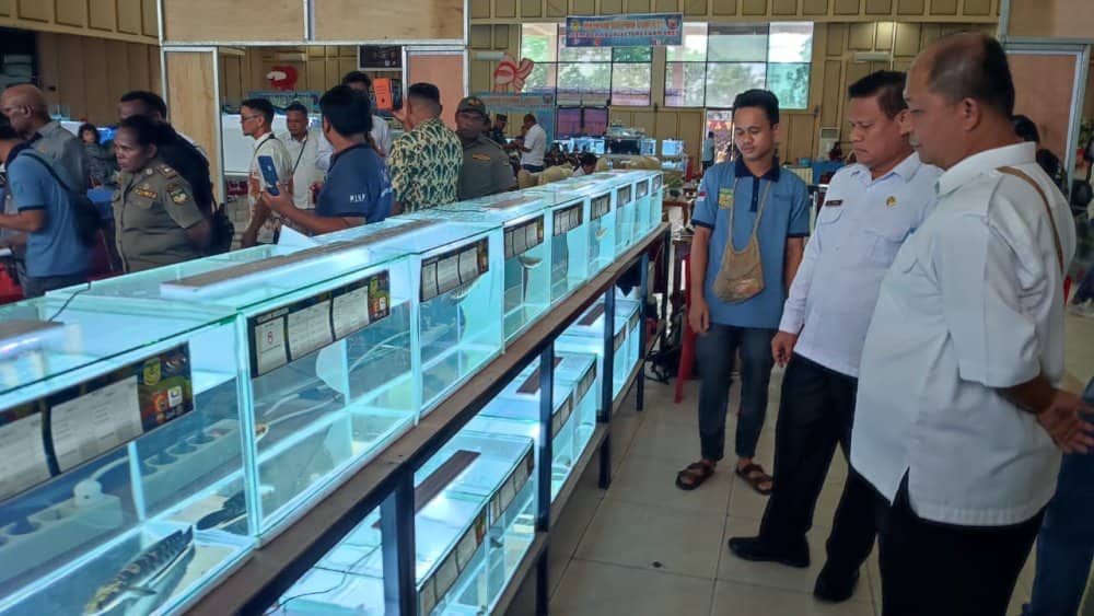 Ilustrasi berita Mimika: Dinas Perikanan Mimika Gelar Pameran dan Kontes Ikan Pertama Terbesar di Kabupaten Mimika