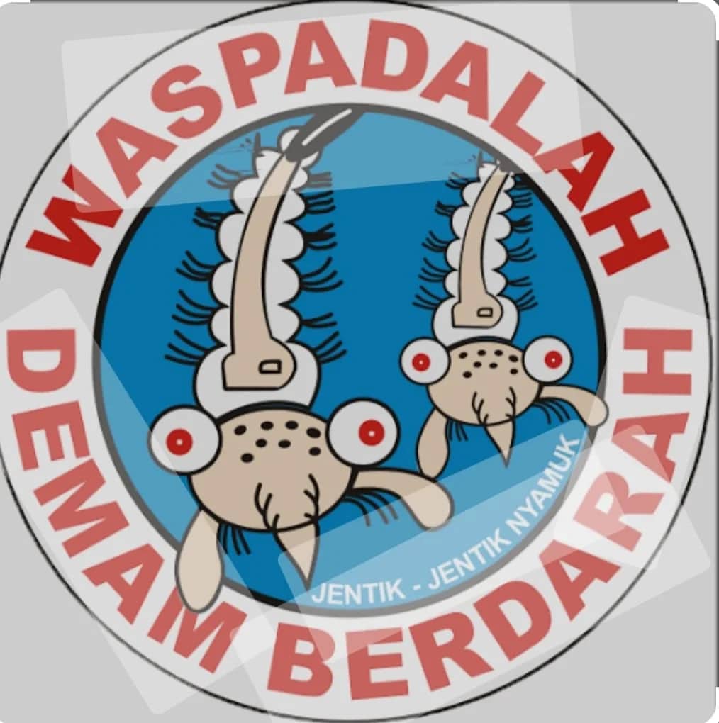 Ilustrasi berita Mimika: Triwulan Pertama Tahun 2024, RSUD Mimika Tangani 209 Kasus Demam Berdarah Dengue