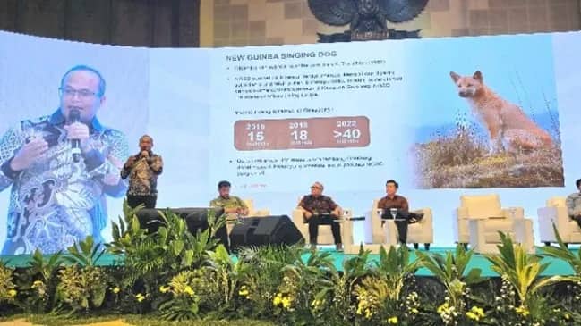 Ilustrasi berita Papua: Freeport Indonesia Berbagi Praktik Baik Upaya Menjaga Keanekaragaman Hayati di Papua