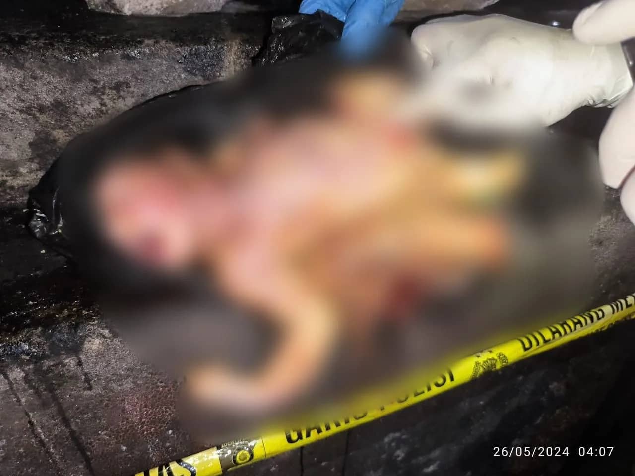 Ilustrasi berita JAYAPURA: Warga Temukan Bayi Perempuan Baru Lahir di Tempat Sampah, Terbungkus Plastik Hitam