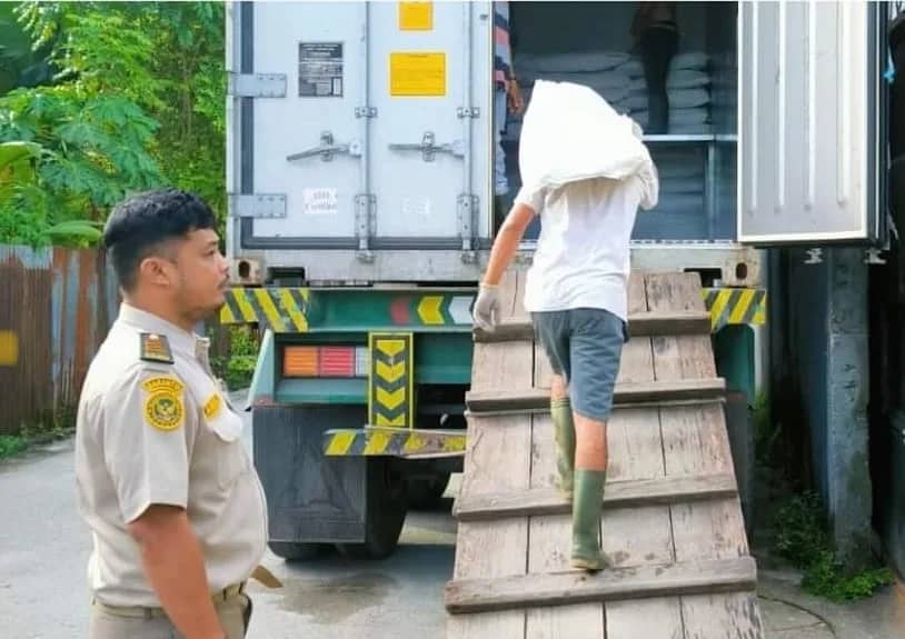 Ilustrasi berita Mimika: 16 Ton Tenggiri dan Ikan Kembung Beku asal Timika Dikirim ke Surabaya