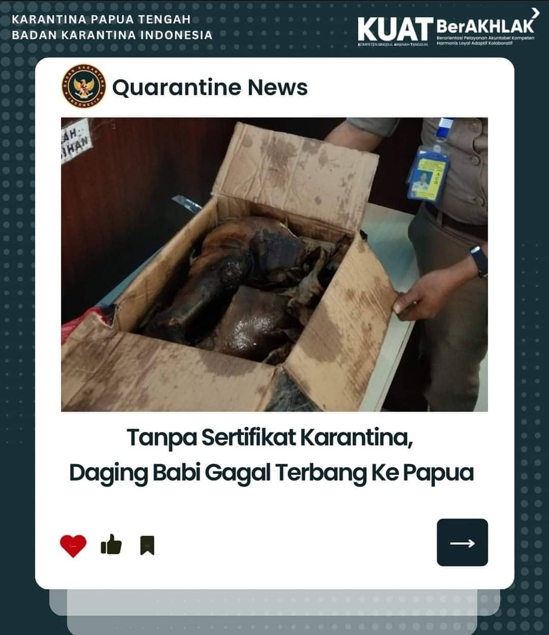Ilustrasi berita Papua: Tidak Dilengkapi Sertifikat, Petugas Karantina Bandara Mozes Kilangin Gagalkan Pengiriman Daging Babi ke Jayapura