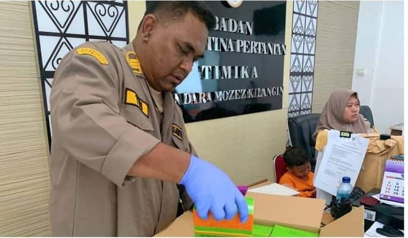 Ilustrasi berita Mimika: Tidak Dilengkapi Dokumen, Karantina Bandara Mozes Kilangin Timika Tahan Benih Sayuran Asal Jember