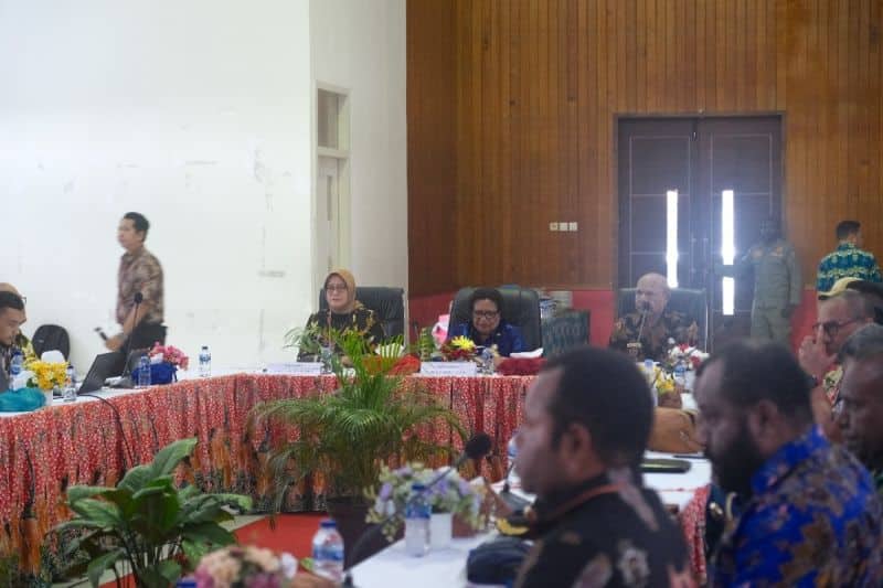Ilustrasi berita Papua: Ribka Haluk : Yang Belum Jelas Batas Daerah itu Mimika - Dogiyai Serta Mimika - Deyai