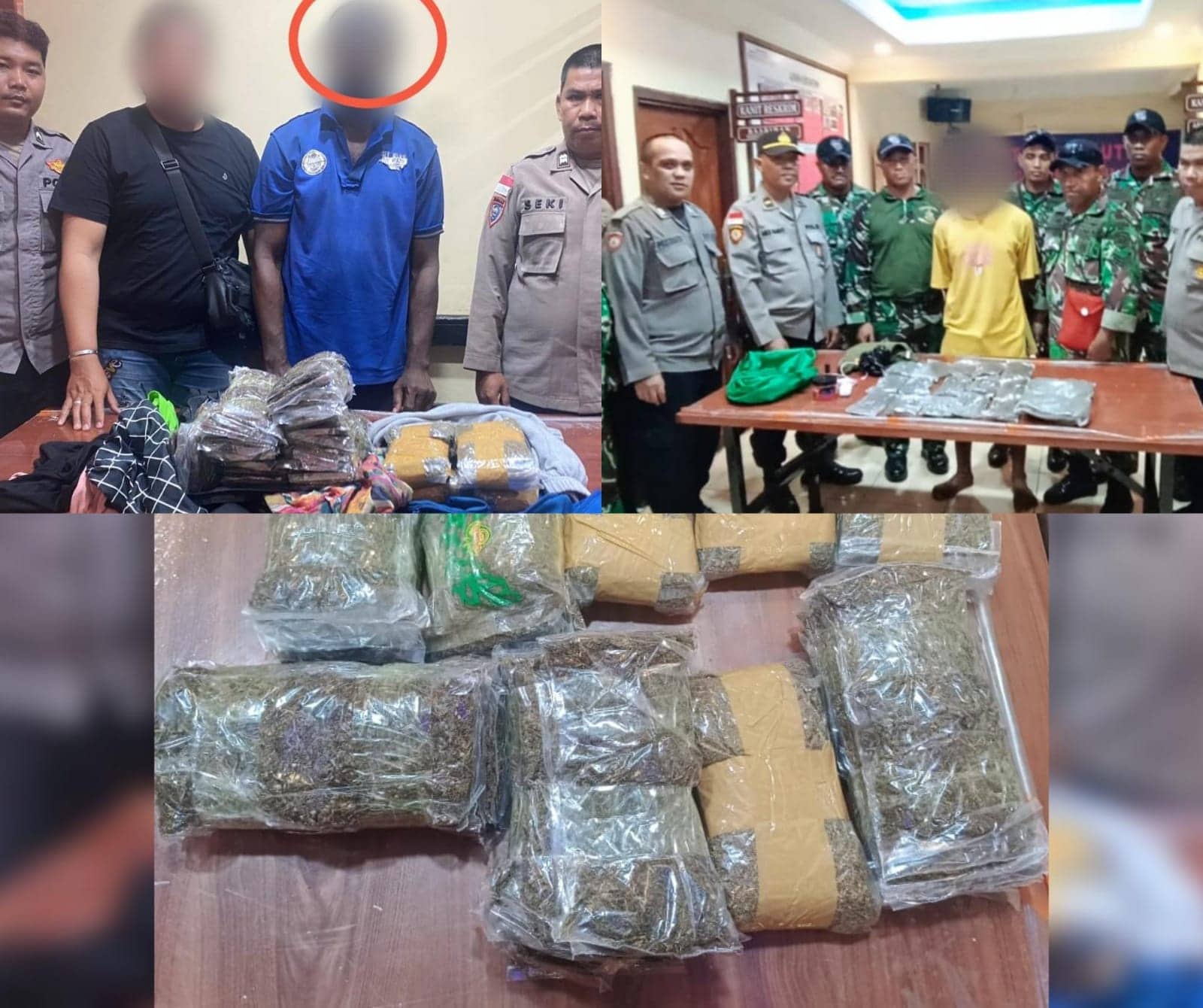 Ilustrasi berita JAYAPURA: Bawa Ganja, Dua Calon Penumpang Kapal Pelni Dibekuk Polisi di Pelabuhan Jayapura