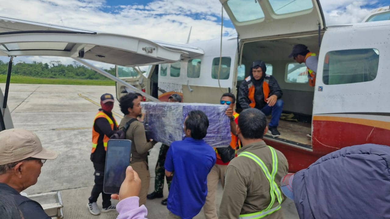 Ilustrasi berita Mimika: Dua Jenazah Tukang Ojek yang Ditembak KKB di Puncak Dievakuasi ke Timika