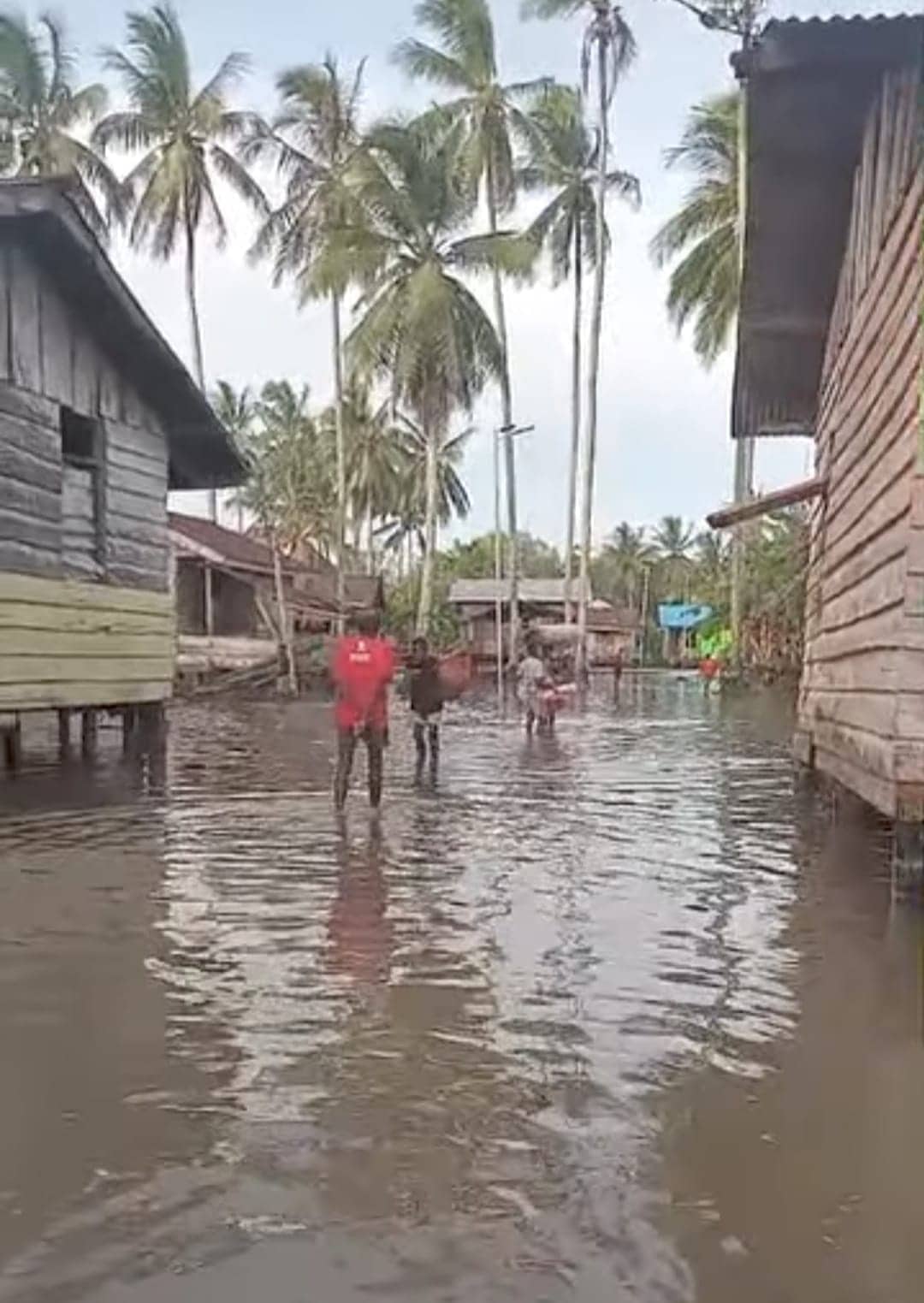Ilustrasi berita Mimika: Puluhan Rumah di Kampung Atuka Terendam Banjir Rob
