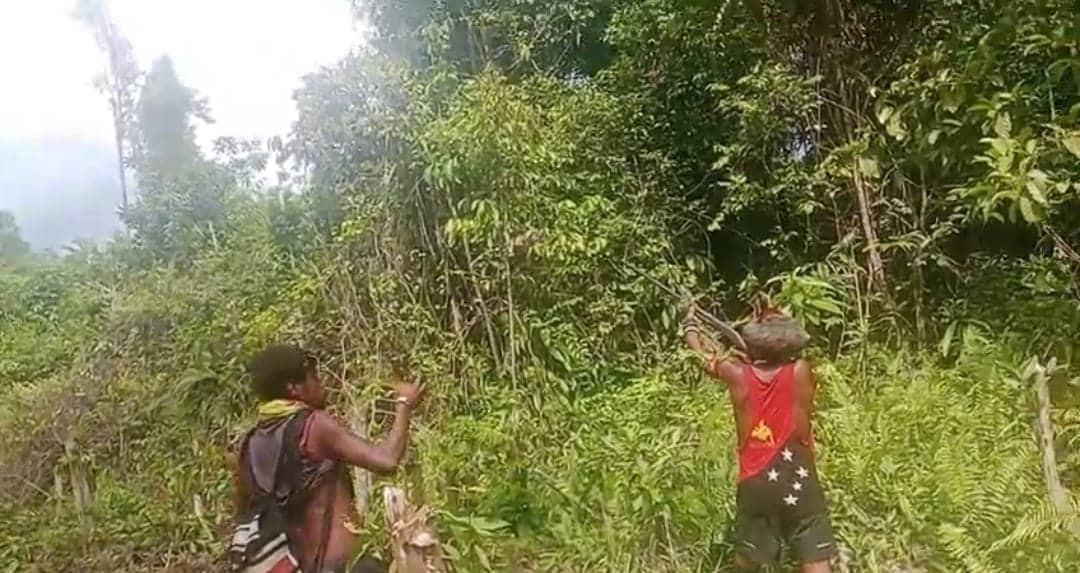 Ilustrasi berita Papua: TPNPB OPM Klaim Tembak Pesawat di Yahukimo, Diduga Angkut Aparat Keamanan