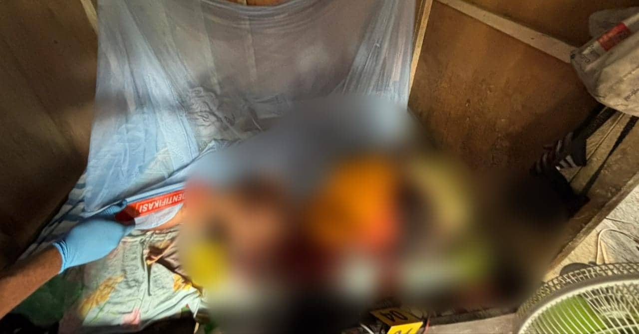 Ilustrasi berita Mimika: Diduga Dianiaya, Seorang Wanita Ditemukan Meninggal Dunia di Jalan Koteka Timika