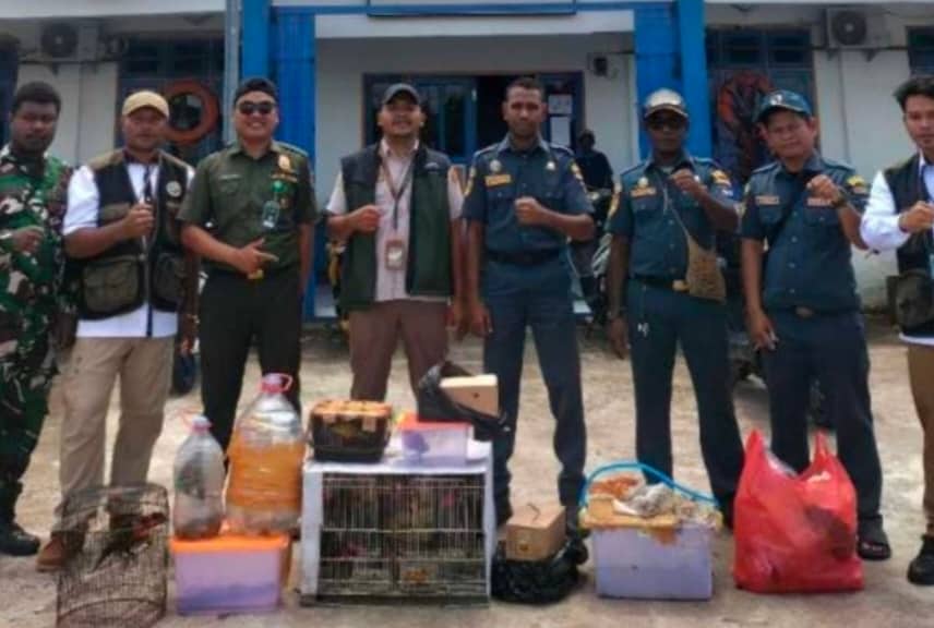 Ilustrasi berita BERITA UTAMA: Karantina Gagalkan Penyelundupan 47 Satwa Dilindungi yang Hendak Diangkut KM Sirimau dari Pelabuhan Asmat Menuju Pomako