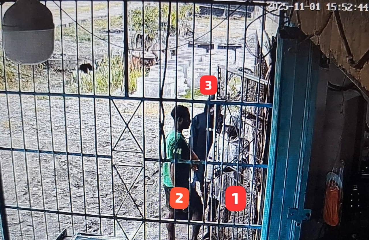 Ilustrasi berita Papua: Terekam CCTV Seorang Warga Sipil Ditikam di Dekai, Satgas Damai Cartenz Buru Tiga Pelaku
