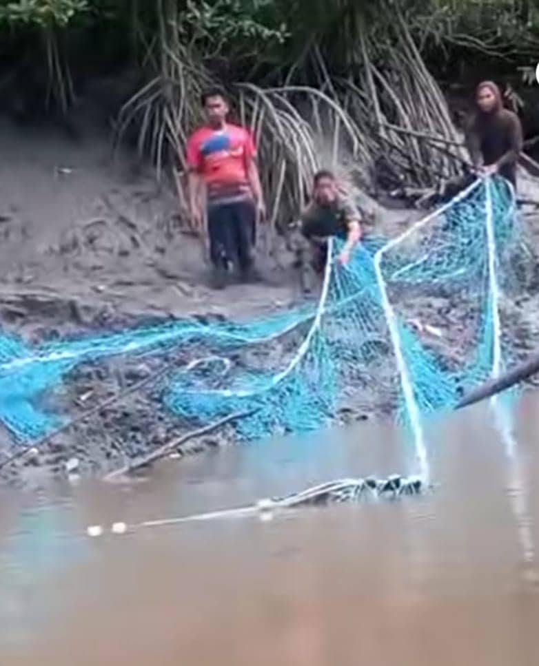 Ilustrasi berita BERITA UTAMA: Nelayan Kepiting Banjar Ausoy Bintuni Diduga Diterkam Buaya, Potongan Tubuh Ditemukan di Lokasi