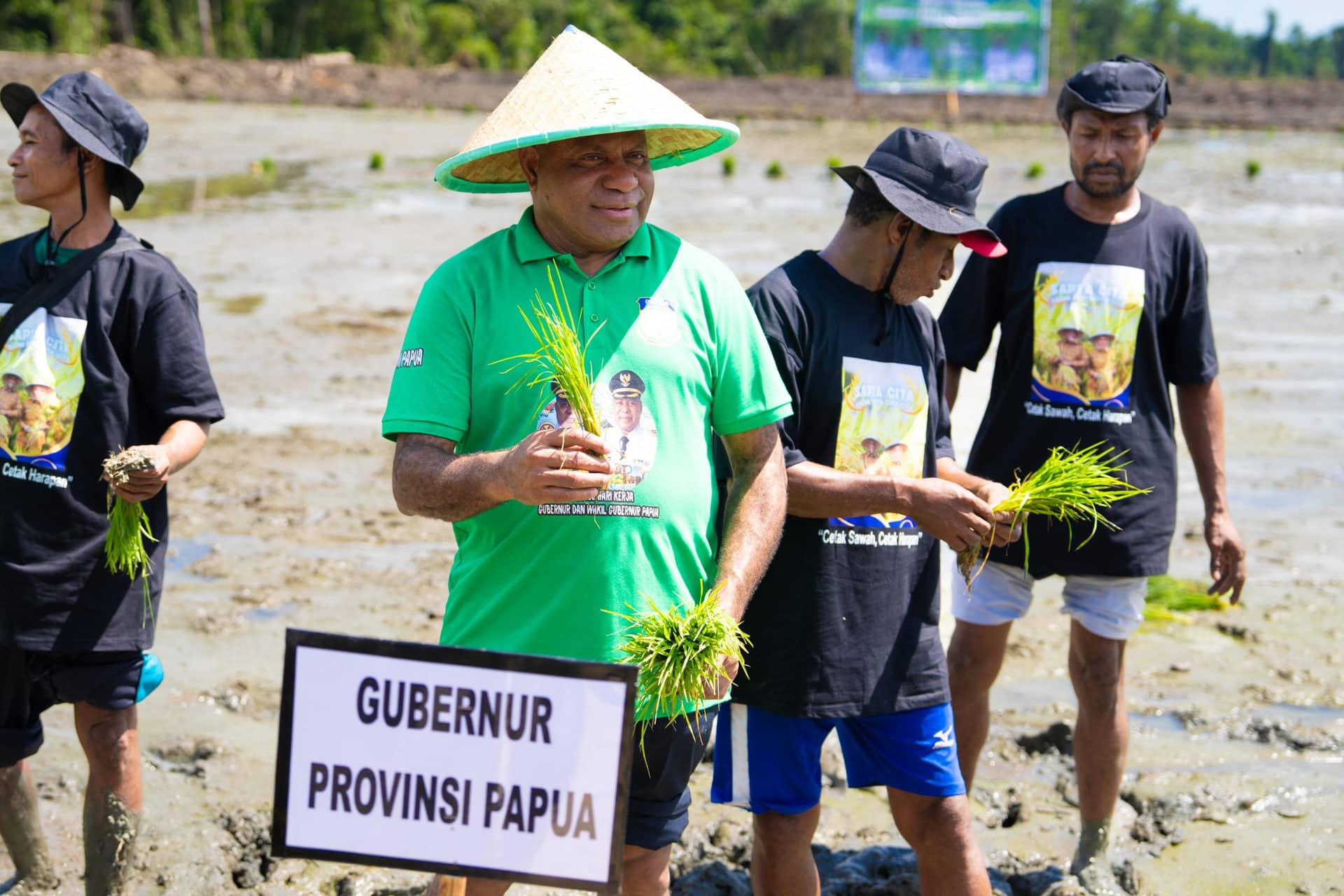 Ilustrasi berita Papua: Gubernur Papua Tanam Perdana Padi 640 Hektar di Sarmi, Targetkan Swasembada Beras
