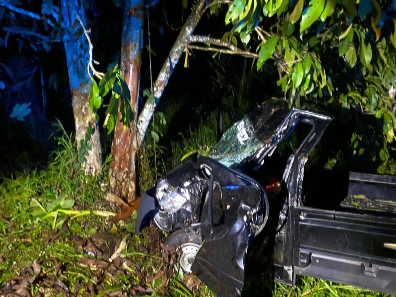 Ilustrasi berita Mimika: Mobil Pick Up Tabrak Pohon di Jalan Poros Pomako, Satu Penumpang Meninggal Dunia