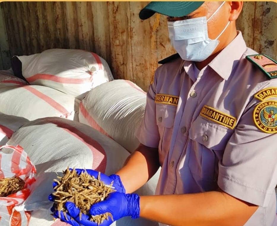 Ilustrasi berita BERITA UTAMA: Tiga Ton Ikan Teri dari Nabire Senilai Rp 210 Juta Dikirim ke Makassar