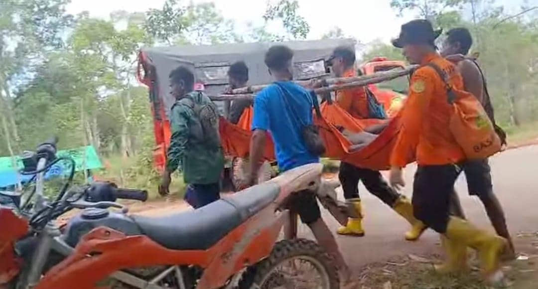 Ilustrasi berita BERITA UTAMA: Tujuh Hari Dalam Pencarian, Pemburu yang Hilang di Hutan Sota Merauke Ditemukan Selamat