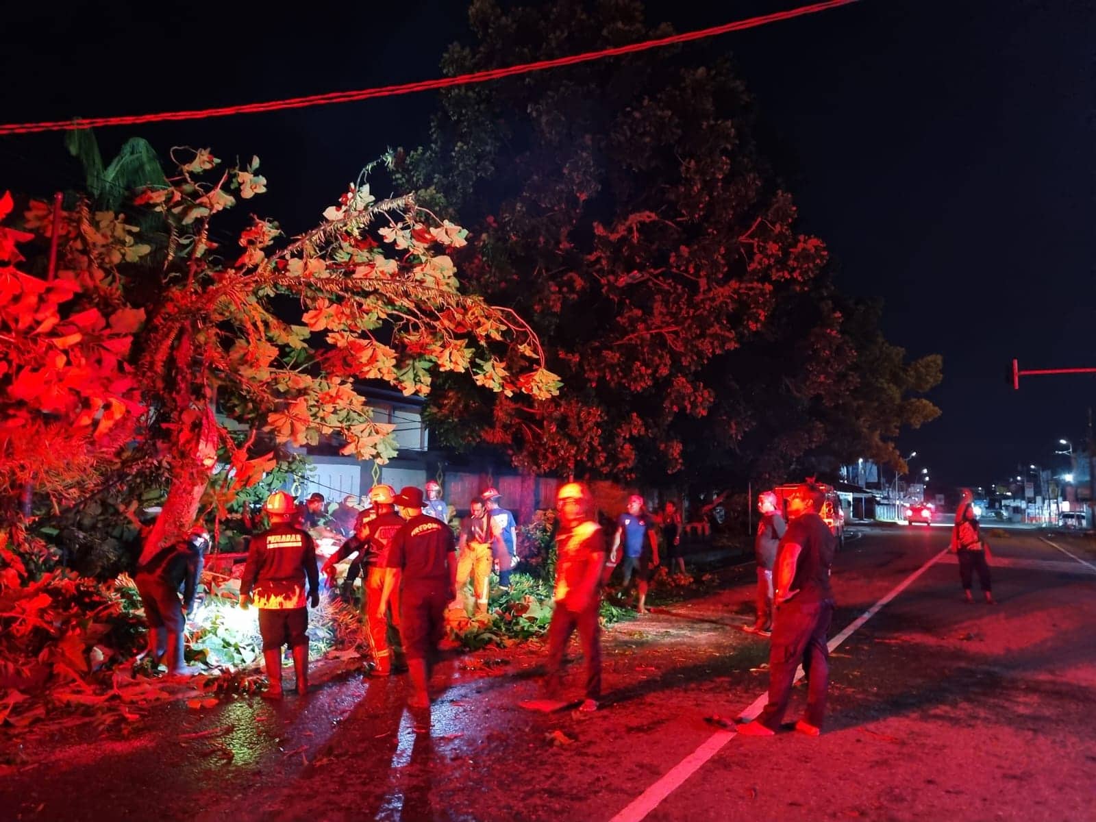 Ilustrasi berita Mimika: Angin Kencang Semalam, BPBD Mimika Terima Laporan Tiga Bangunan Rusak Tertimpah Pohon Tumbang