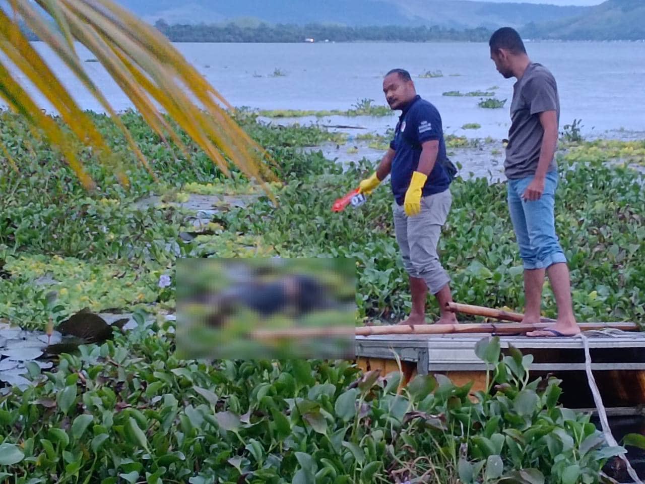 Ilustrasi berita Kesehatan: Empat Hari Tak Pulang, Seorang Pria Ditemukan Tewas Mengapung di Danau Sentani