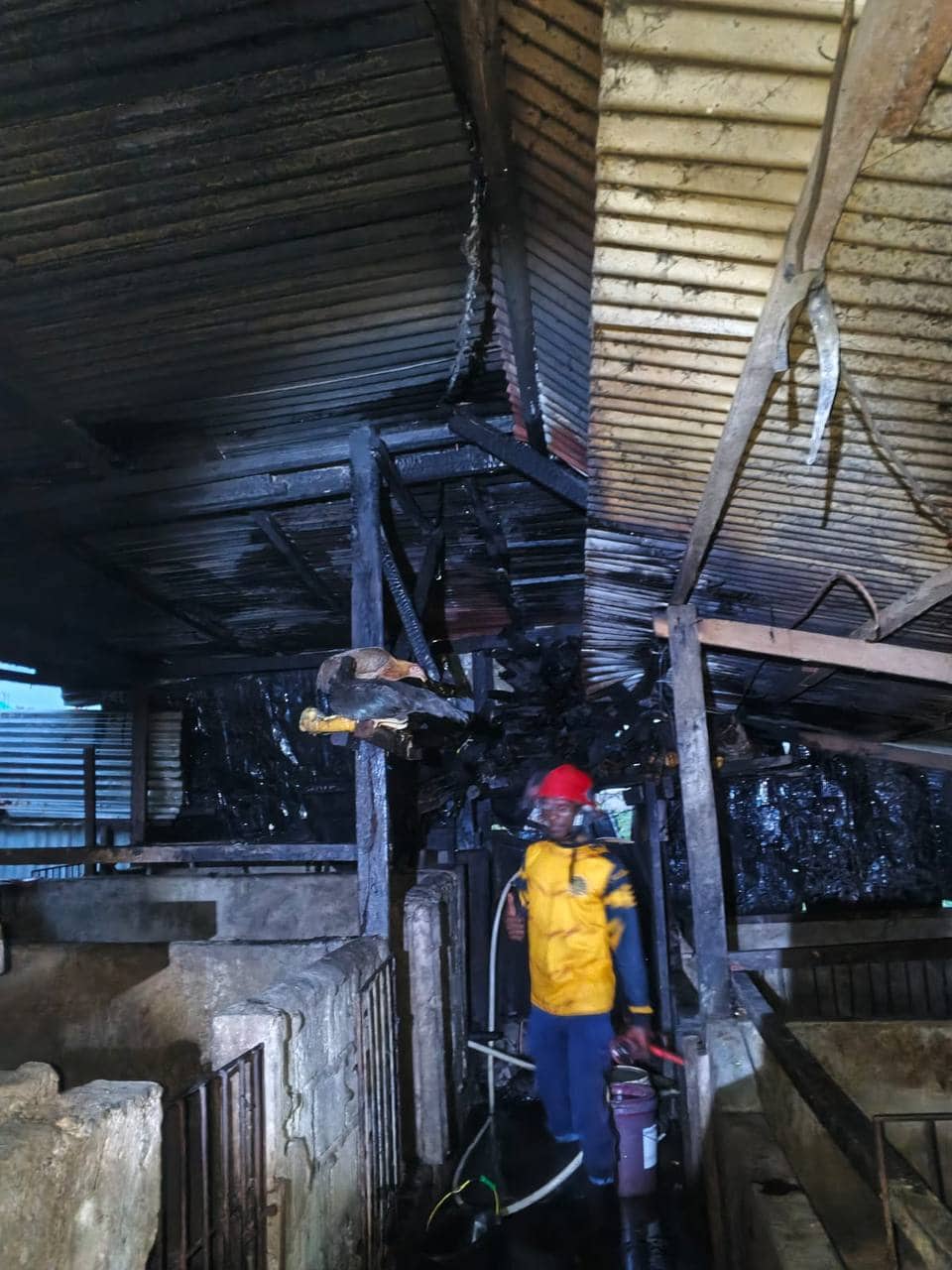 Ilustrasi berita Mimika: Satu Unit Rumah di Area Busiri Ujung Timika Ludes Terbakar