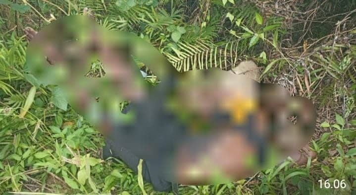 Ilustrasi berita Mimika: Jenazah Seorang Pria Ditemukan di Jalan Trans Timika–Nabire, Diduga Karena Hal Ini