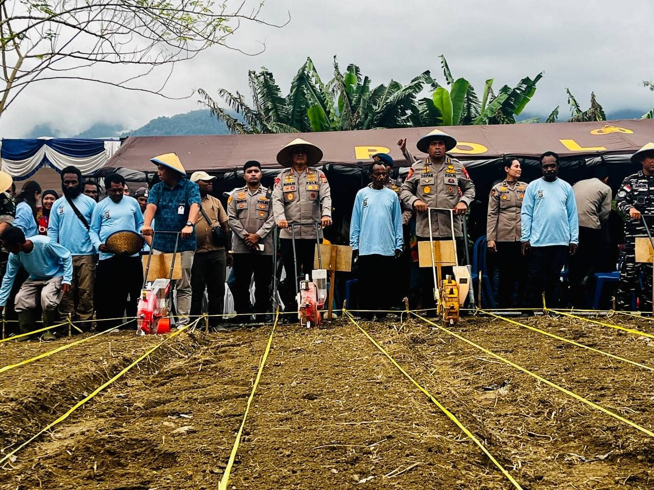Ilustrasi berita Nasional: Polda Papua Tanam Jagung Serentak Seluas 11,18 Hektare di Papua Dukung Pangan Nasional